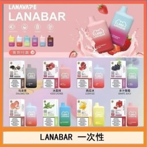 LANA BAR可充电一次性電子煙霧化5000口(3.0%)
