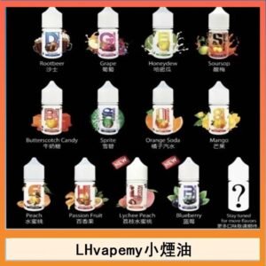 LHvapemy馬來西亞主機小煙油30ml