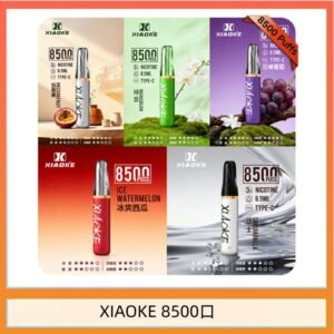 梟客XIAOKE一次性電子菸拋棄式8500口