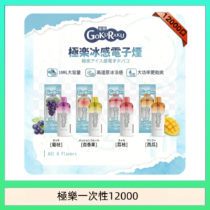 【8種口味】極楽 12000口一次性電子煙|超大容量 |口感絲滑|新品